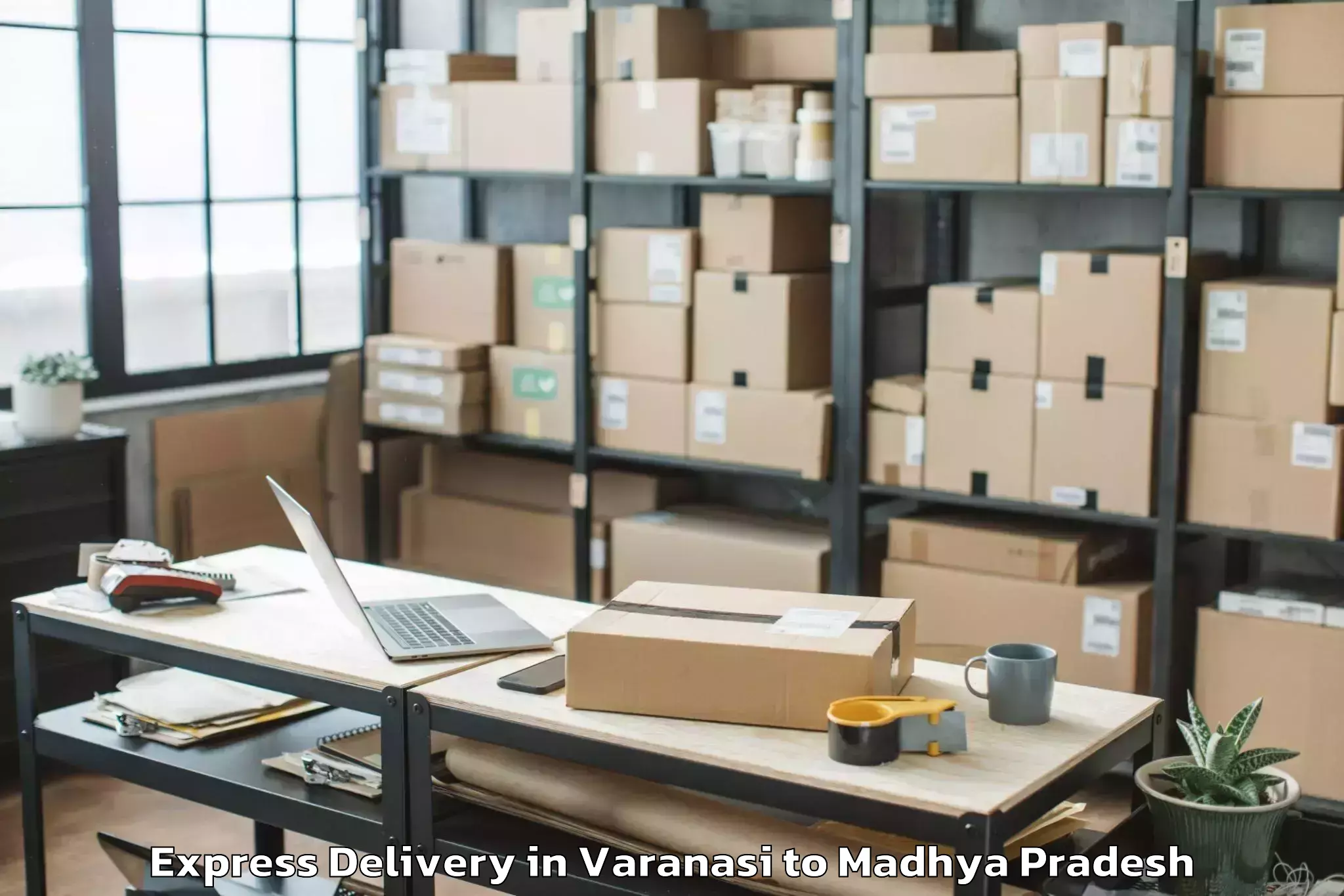 Professional Varanasi to Mhow Express Delivery